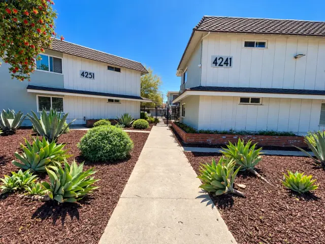 Walkway between buildings 4251 and 4241 with agave and succulent landscaping