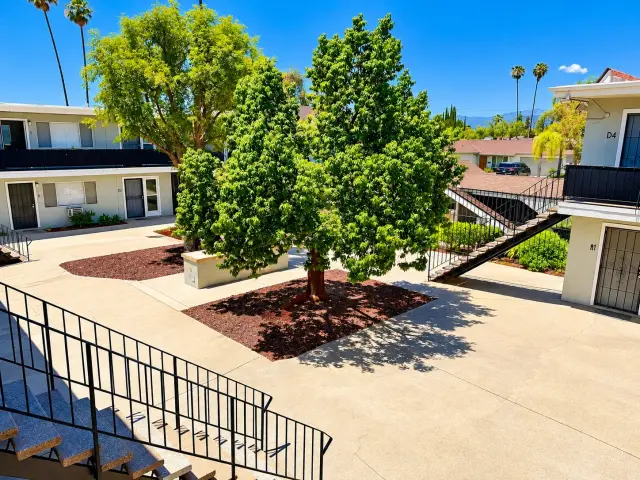 Courtyard with trees, seen from the upstairs walkway