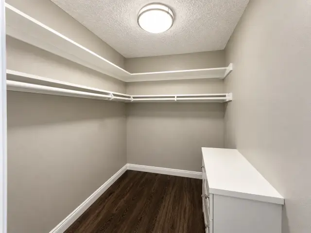 Walk-in closet with shelving